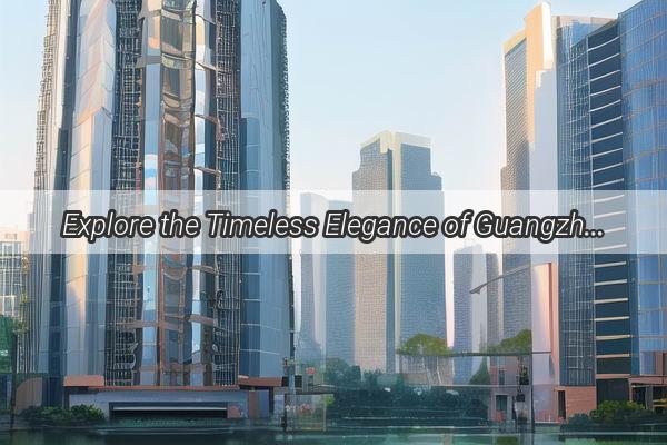 Explore the Timeless Elegance of Guangzhous Top Brand Shirts